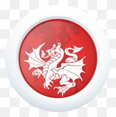 St - George Illawarra Dragons png