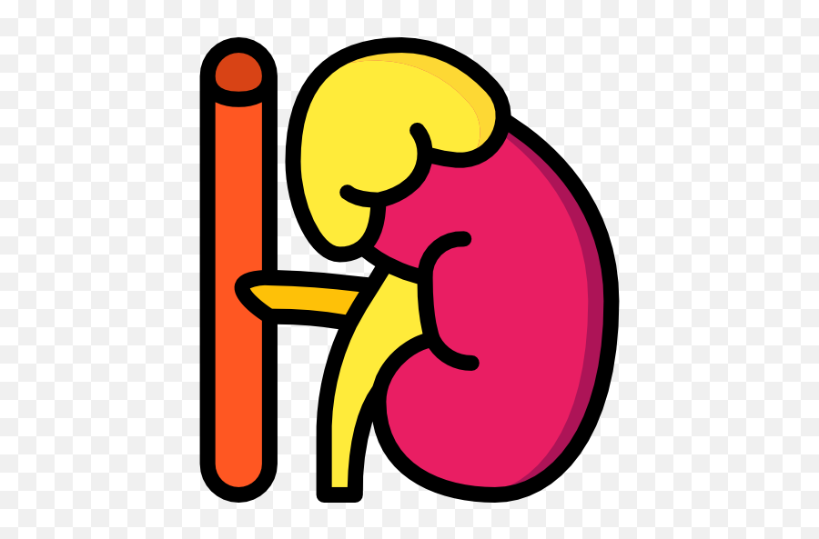 Adrenal Gland - Glandulas Suprarrenales Icono Png,Adrenal Icon