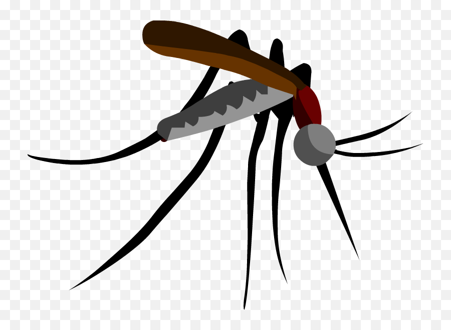 Download Hd Parasitism Drawing Mosquito Clipart Black And - Parasitism Drawing Png,Mosquito Transparent