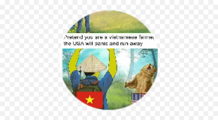 Straw Hat - Roblox Vietnam Memes Png,Straw Hat Icon