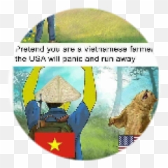 Straw Hat - Roblox Vietnam Memes png