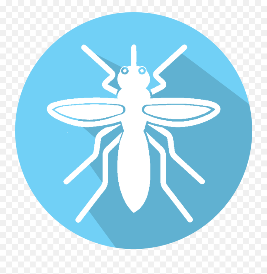Bed Bugs - Pestfree Parasitism Png,Quickview Icon