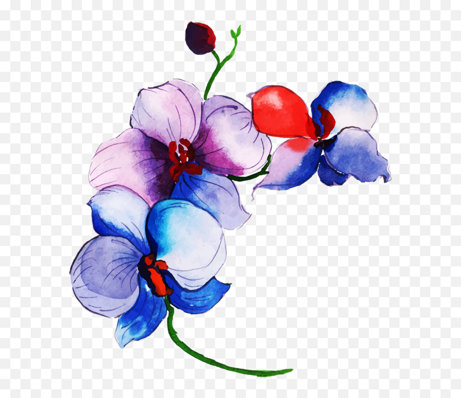 Free Png Floral Bouquets - Tulip Transparent Cartoon Jingfm Orchid,Tulip Transparent