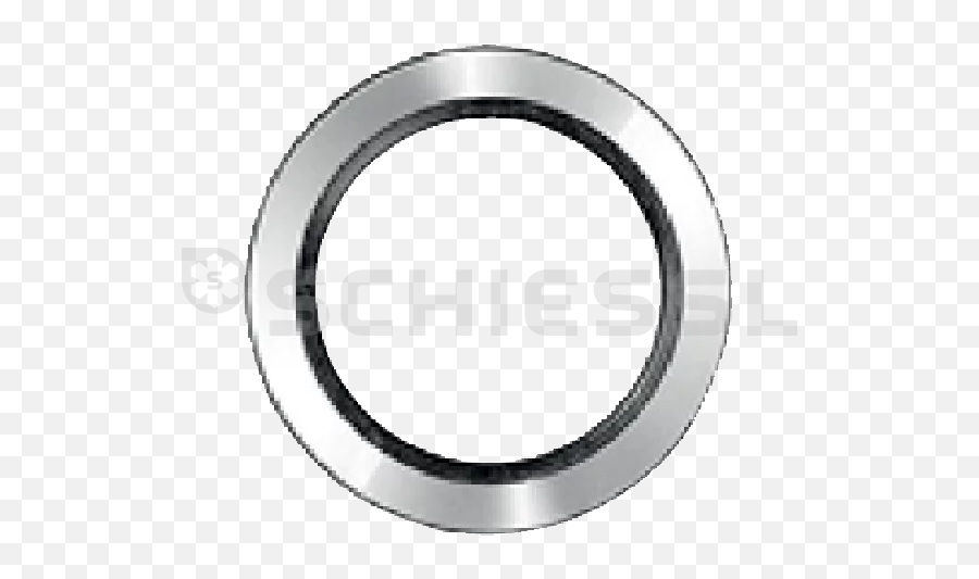 Sealing Ring Stainless Steelfluororubber Ss - 4rsd2v F 1 Jedi Png,Ss Icon