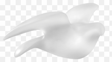 Paloma By Pedro Ramírez Vázquez - Fish Png,Paloma Png