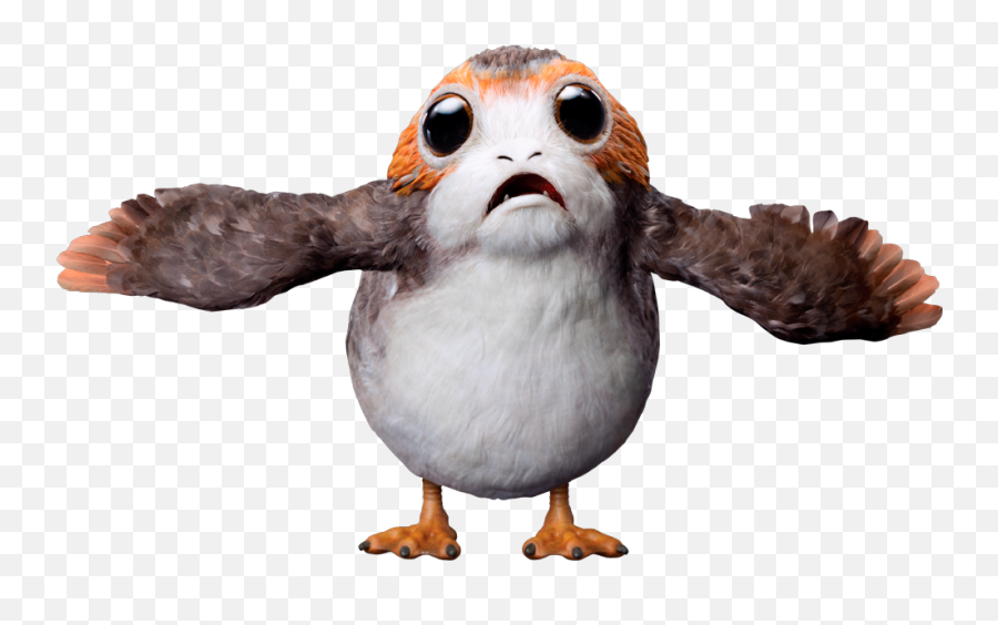 Bird Wookieepedia Fandom - Bird From Star Wars Png,Star Wars Png