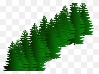 Download Fir Clipart Evergreen Tree - Free Vector Silhouette png