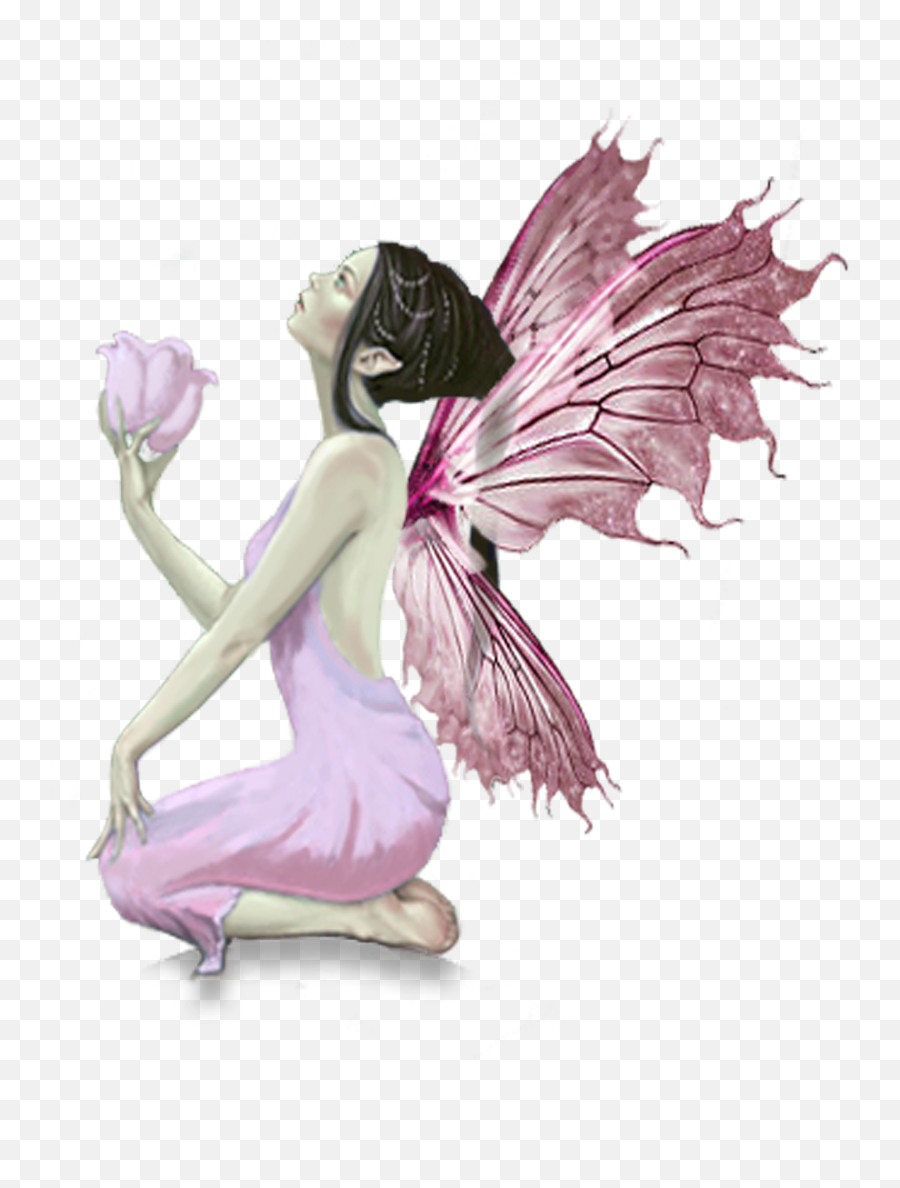 Butterfly Fairy Diamonds And Toads Elf - Elf Fairy Png Butterfly Fairy Transparent Png,Fairy Png Transparent