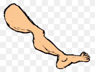Download Legs Clipart Arm - Transparent Background png
