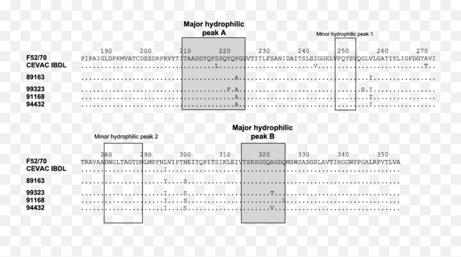 Amino Acid Sequence Of The Vp2 Variable Domain In Ibdv - Screenshot Png,Emily Rudd Png