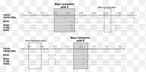 Amino Acid Sequence Of The Vp2 Variable Domain In Ibdv - Screenshot Png,Emily Rudd Png