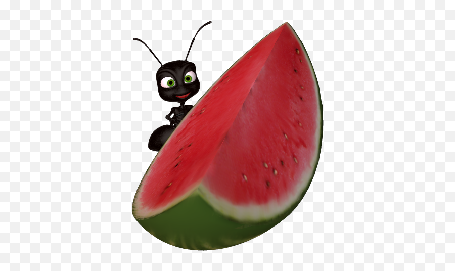 Download Watermelon Clipart Png Free Freepngclipart - Ants Watermelon,Watermelon Png Clipart