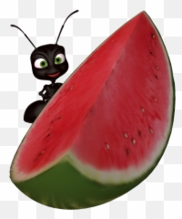 Download Watermelon Clipart Png Free Freepngclipart - Ants Watermelon,Watermelon Png Clipart