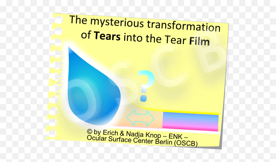 Tears U0026 Tear Film U2014 Ocular Surface Center Berlin - Graphic Design Png,Tears Transparent