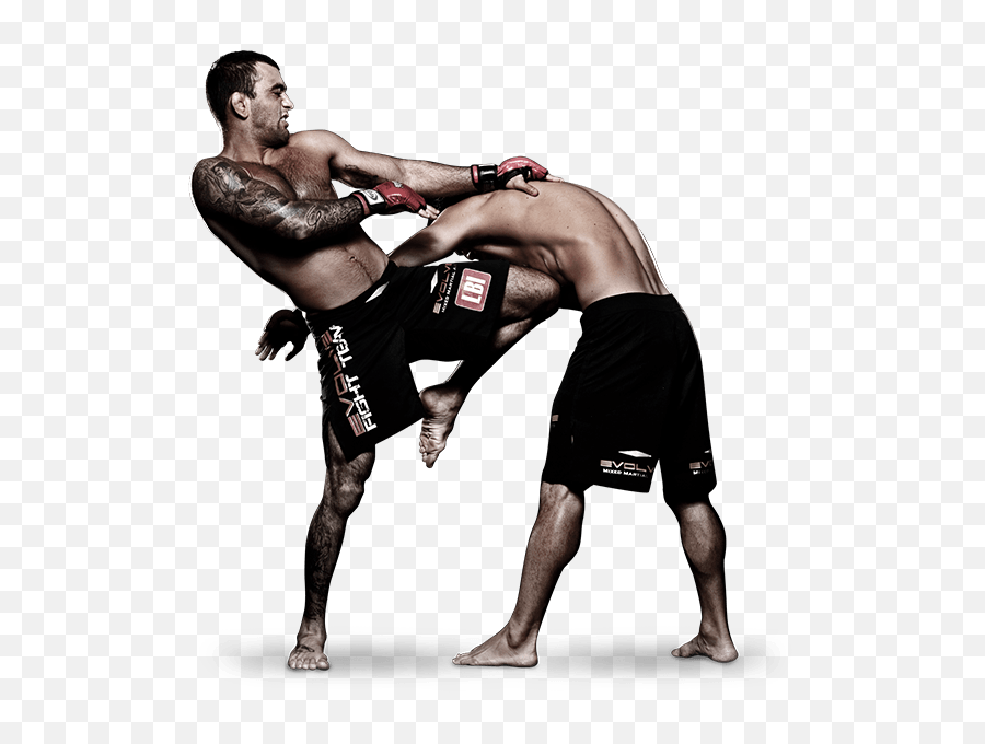 Mixed Martial Arts Fight Png Pic - Martial Arts Mixed Muay Thai,Martial Arts Png