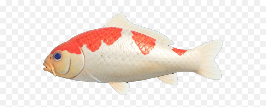 Koi - Carpe Koi Animal Crossing New Horizon Png,Koi Png