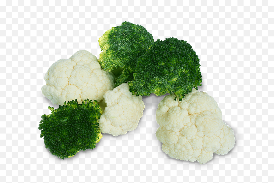 Hd Png Download - Broccoli,Brocoli Png