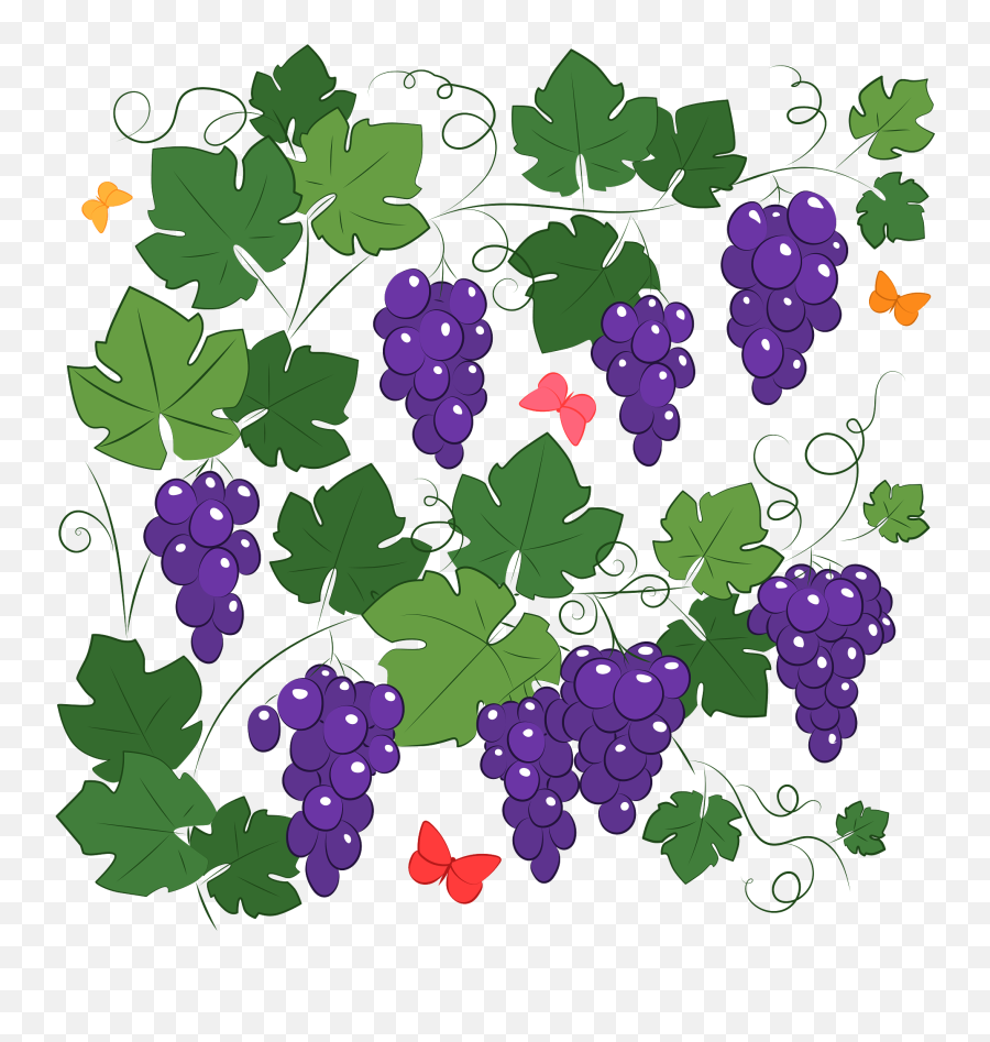 Clipart - Clip Art Png,Grapevine Png