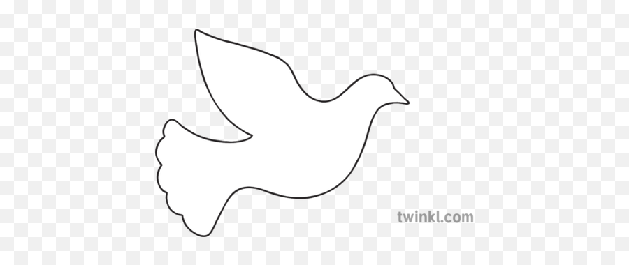 Dove Template Illustration - Twinkl Line Art Png,White Doves Png