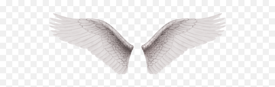 Alas De Angel Png Transparent Images U2013 Free - Angel Wings Png,Angel Png Transparent