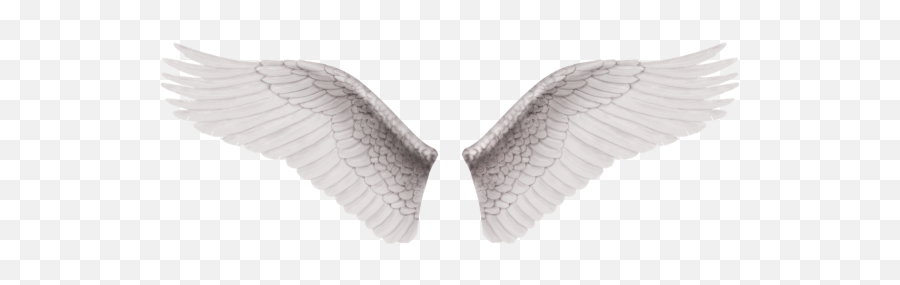 Alas de angel png