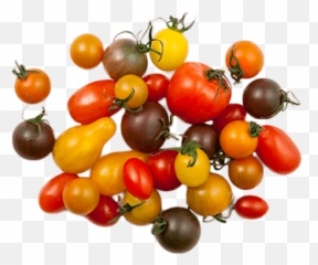 Our Vegetables Red Sun Farms - Superfood Png,Tomatoes Png