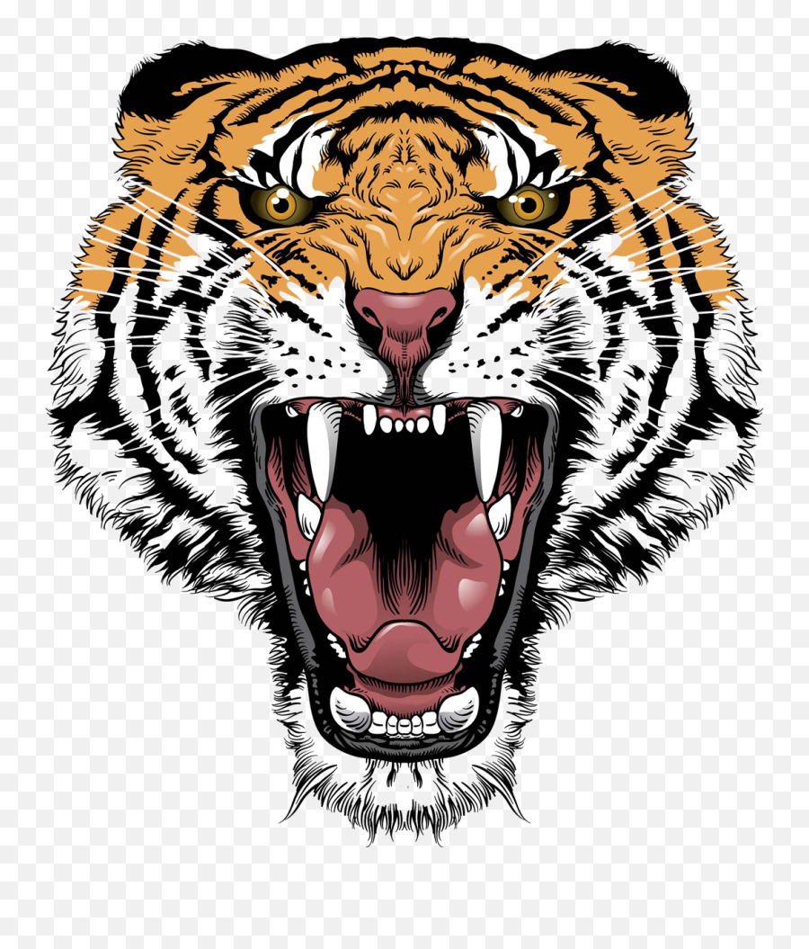 Tiger Lion Roar Big Cat Head - Tiger Face Transparent Png Tiger Face Transparent Background,Lion Roar Png