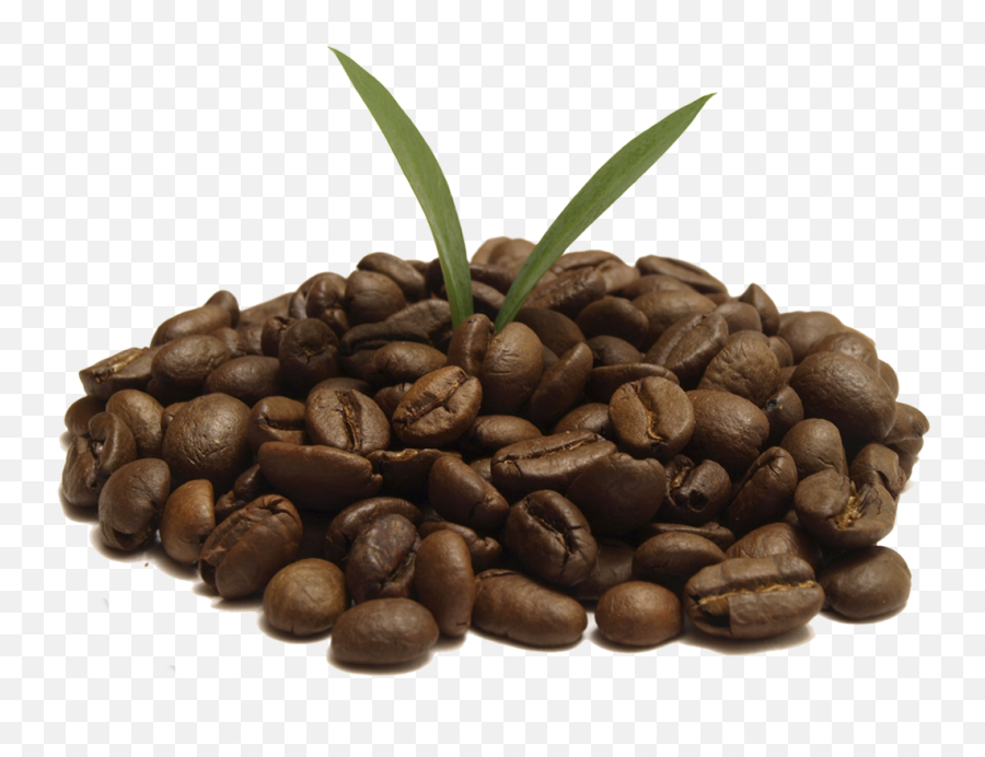 Coffee Png Transparent Photos - Coffee 10 X 10ml Dekang E Liquid 10ml E Liquid,Coffe Png