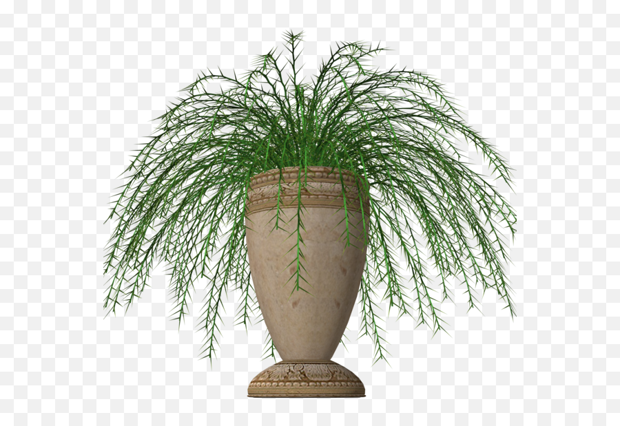 Pot Plant Clipart Fern - Potted Plant Png Transparent Flowerpot,Potted Plant Png