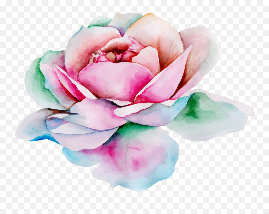 Free Png Watercolor Floral - Konfest Garden Roses,Painted Flowers Png