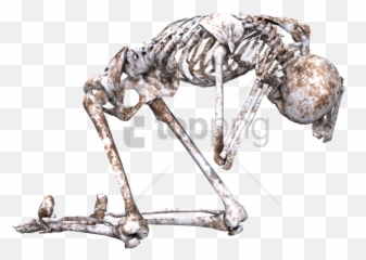Dancing Skeleton - Laying Down Png