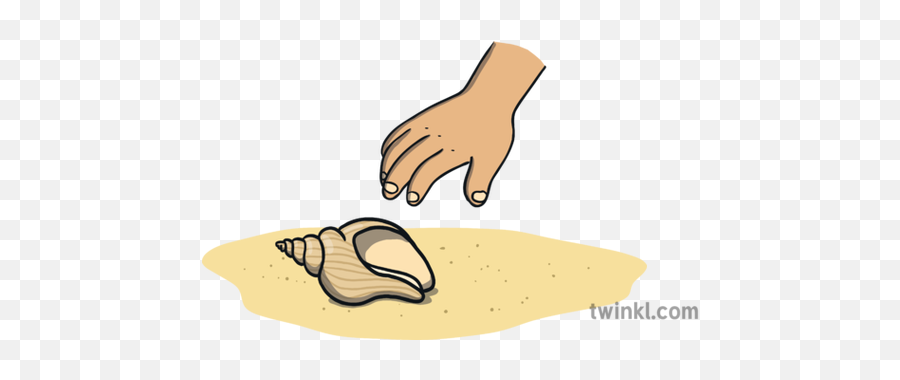 Hand Reaching For Shell Illustration - Bivalvia Png,Hand Reaching Png