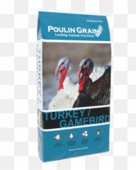 Poulin Grain - Gamebird png
