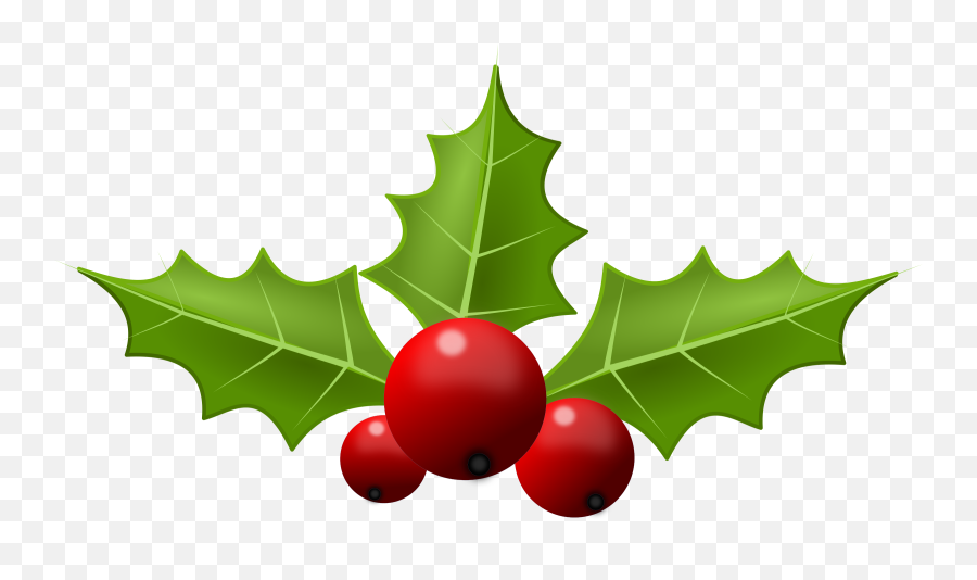 Transparent Library Christmas Holly Png - Holly Christmas Clipart,Christmas Holly Png