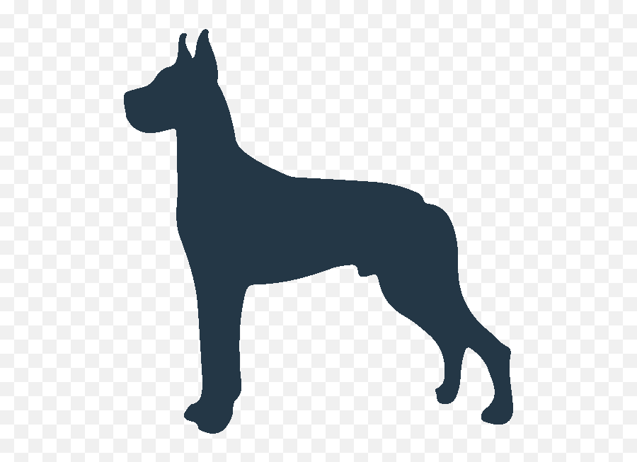 Comforting Your Dog A Guide Png Boxer Icon