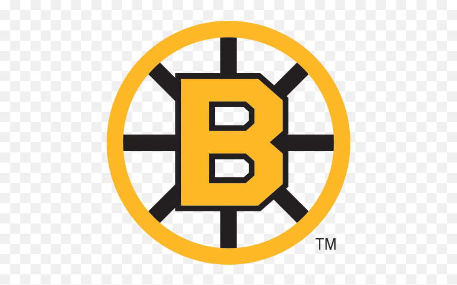 Download Shoulder Patch - Boston Bruins 90s Jersey Full Moving Optical Illusions Gif Png,90s Png