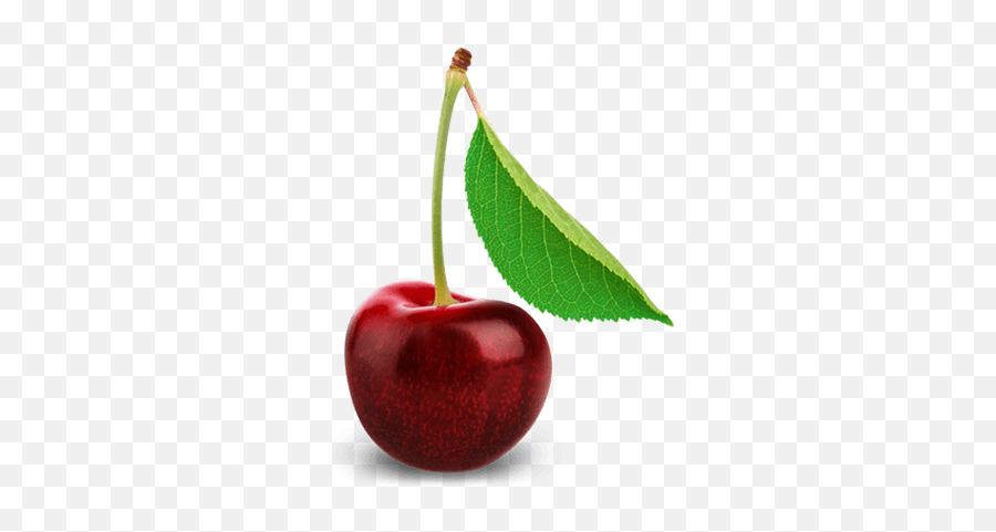 Cherries Pile Transparent Png - Stickpng Real Cherry Png,Cherries Png
