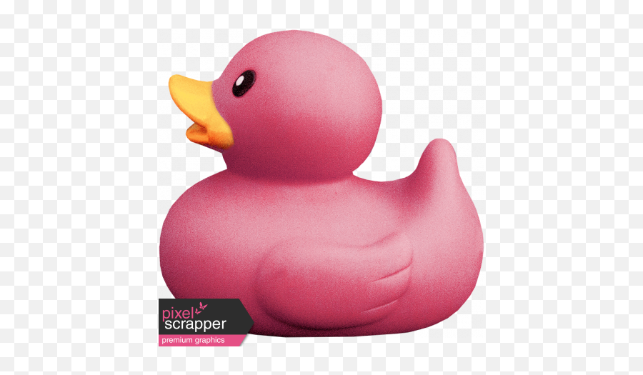 Tiny But Mighty - Pink Rubber Duck Graphic By Janet Scott Pink Rubber Ducky Png,Rubber Duck Png