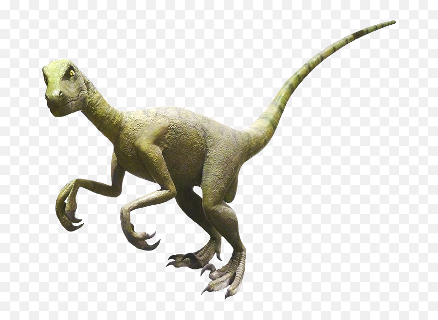 Dinosaur Clipart And Jokes - Velociraptor Real Dinosaur Clipart Png,Dinosaur Png
