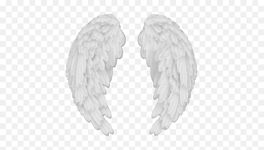 Angel Wing Png Picture 377978 Baby Wings - Transparent Background Angel Wings Transparent,White Angel Wings Png