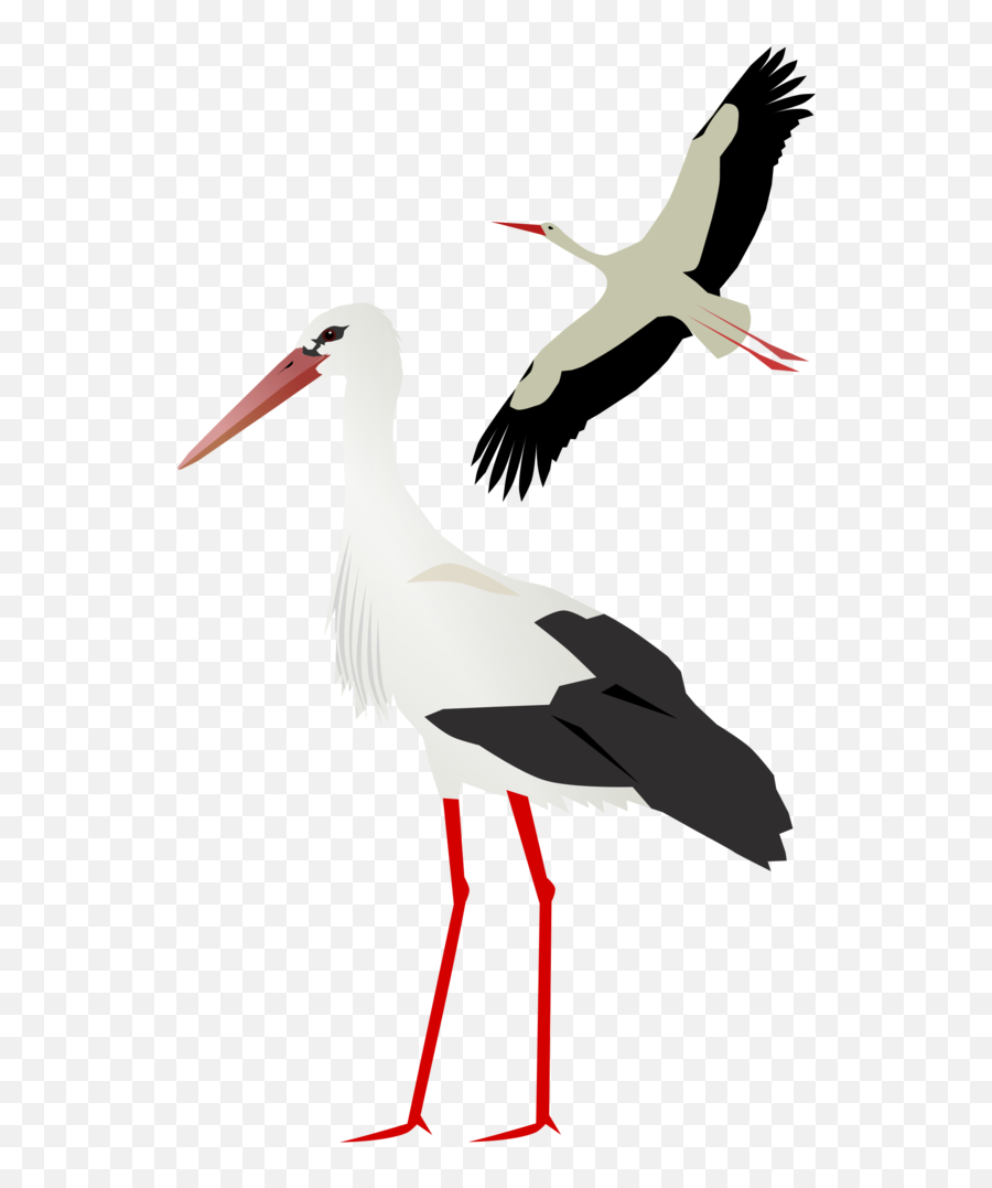 Download Free Png Stork - Flying Stork Png,Stork Png