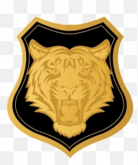 Tiger Face Black And White Png Transparent Cartoon - Jingfm Draw The