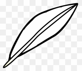 Feather Outline Png 1 Image - Transparent Background