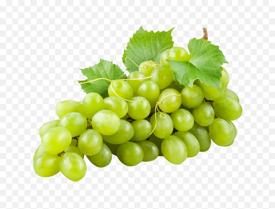 Green Grapes Transparent Images - Fruits Chart With Names Png,Grape Png