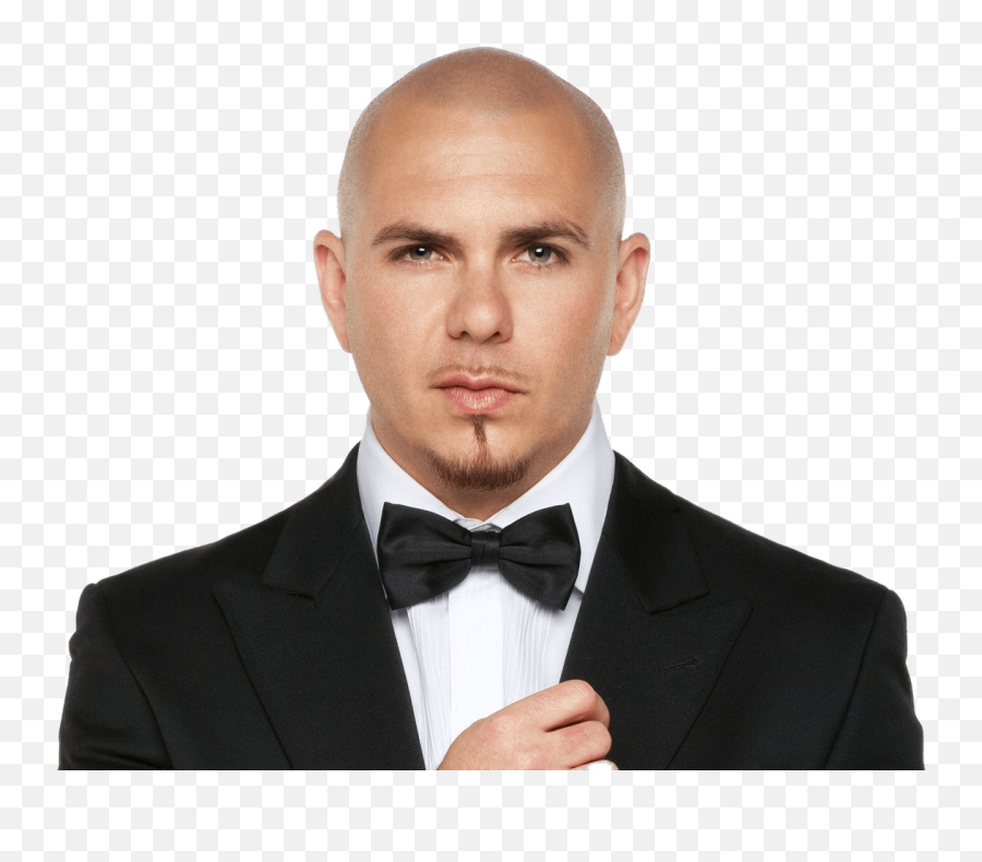 Pitbull With Bow Tie Transparent Png - S 1092433 Png Pitbull Songs,Rapper Png