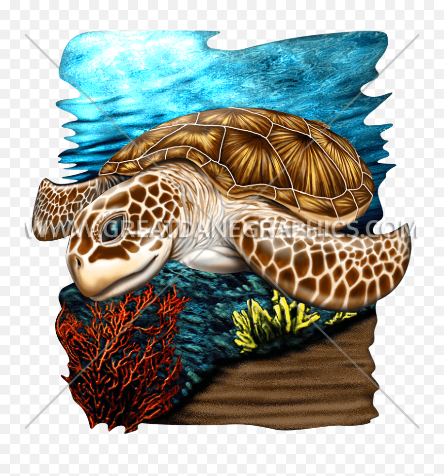 Sea Turtle Production Ready Artwork For T - Shirt Printing Anajet Turtle Png,Turtle Transparent Background