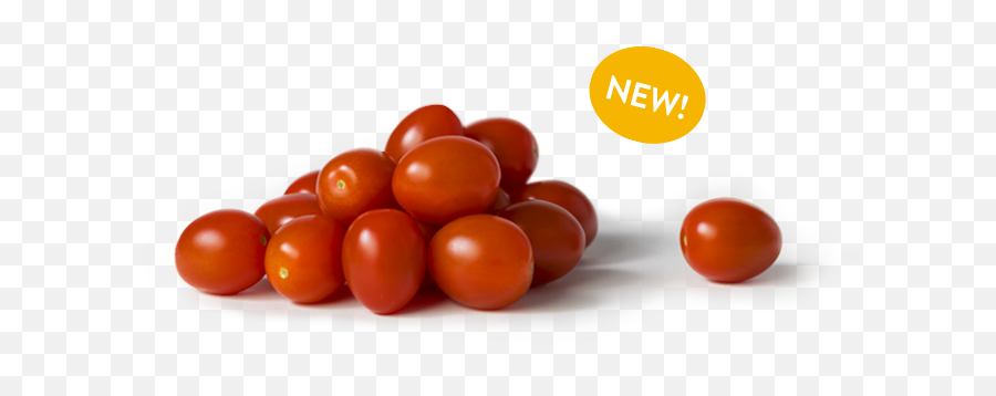 Bushel Boy U2013 Website - Plum Tomato Png,Tomato Transparent