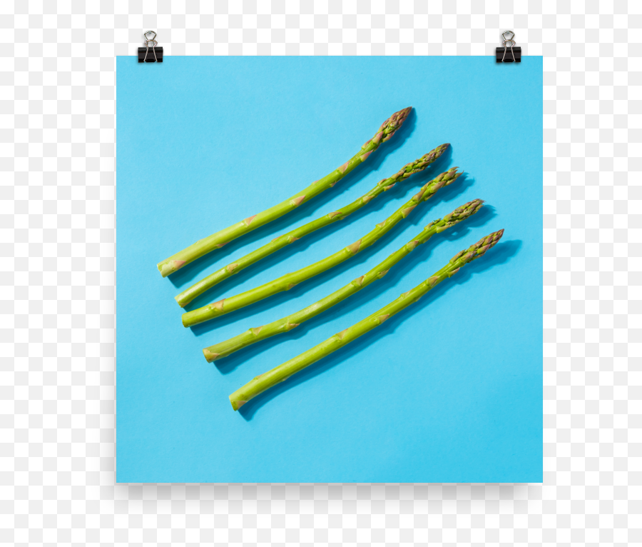 J Sutton Photo Commercial Photographer U2014 Asparagus Print - Ammunition Png,Asparagus Png