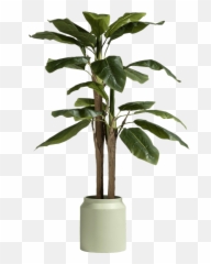 Coco Maison Banana Tree - 140 Cm Coco Maison Banana Tree Png,Banana Tree Png