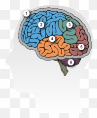 Dementia Brain Tour Alzheimeru0027s Research Uk Png Cartoon